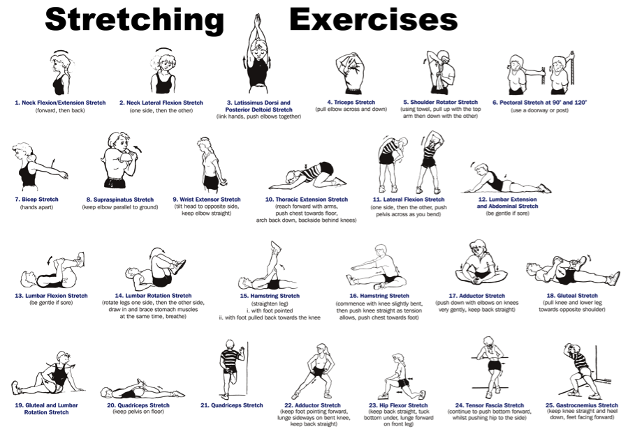 Why is Stretching So Important? - Better Health For Women
